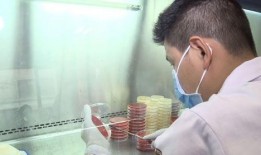 卫生纸巾爆料视频,揭秘爆料视频背后的惊人真相
