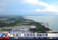 湛江今天新闻最新爆料,重大事件引发社会关注
