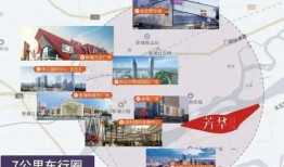 娱乐圈大爆料王冰冰简介,王冰冰的传奇人生