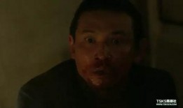 哭声电影手机在线观看,手机在线观看，揭秘恐怖背后的真相