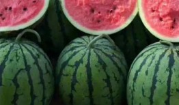 新乐吃瓜视频在线观看免费,免费在线观看，揭秘娱乐圈幕后故事