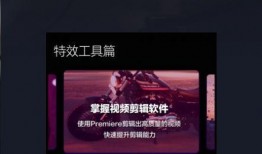 明星爆料文案视频下载,下载背后的故事与幕后花絮