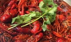 四川小龙虾爆料视频大全,视频大全揭秘美食背后的故事