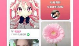 大狗最新爆料视频下载安装,视频下载安装全攻略