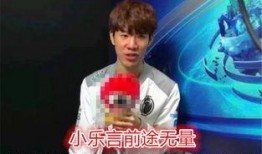 赢哥爆料小乐视频大全,小乐视频大全背后的精彩故事