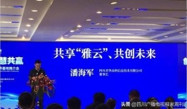 川大校友爆料新闻视频,揭秘新闻视频背后的真相