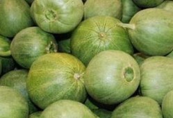 甜瓜概念爆料视频下载安装,甜瓜概念爆料视频下载安装全攻略