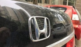 老雅阁大修爆料视频完整版,视频完整版深度解析