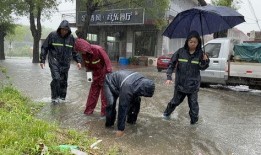 秦皇岛防汛爆料最新消息,全力应对，守护家园安全