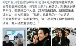 为什么敢爆料向佐呢视频,背后真相大揭秘