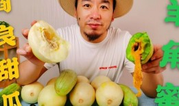 吃瓜网红故事,网红吃瓜背后的故事揭秘