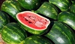 吃瓜网红照片高清图片,高清美照揭秘网络红人日常