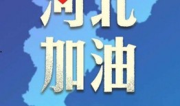 河北哪里能爆料新闻,聚焦地方热点，共筑舆论监督桥梁