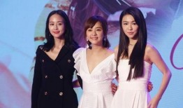 娱乐圈最新爆料解说大全,揭秘明星背后的故事与真相