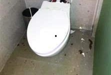 马桶人最新爆料,娱乐圈惊天内幕大曝光！