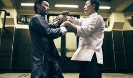 叶问爆料视频大全集免费观看