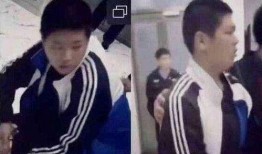 关于蔡某某的爆料视频,揭秘背后惊人真相