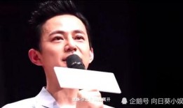 爆料何老师最新视频,揭秘幕后故事与精彩瞬间