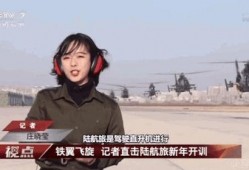 娱乐圈大爆料王冰冰简介,王冰冰的传奇人生