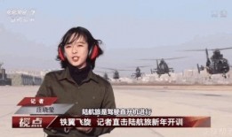 娱乐圈大爆料王冰冰简介,王冰冰的传奇人生