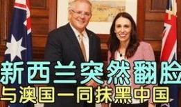 绿媒老董最新爆料,揭秘事件背后惊人真相！
